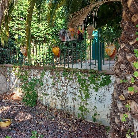 Appartement & Spa - Panoramic Olivars Pau Экстерьер фото